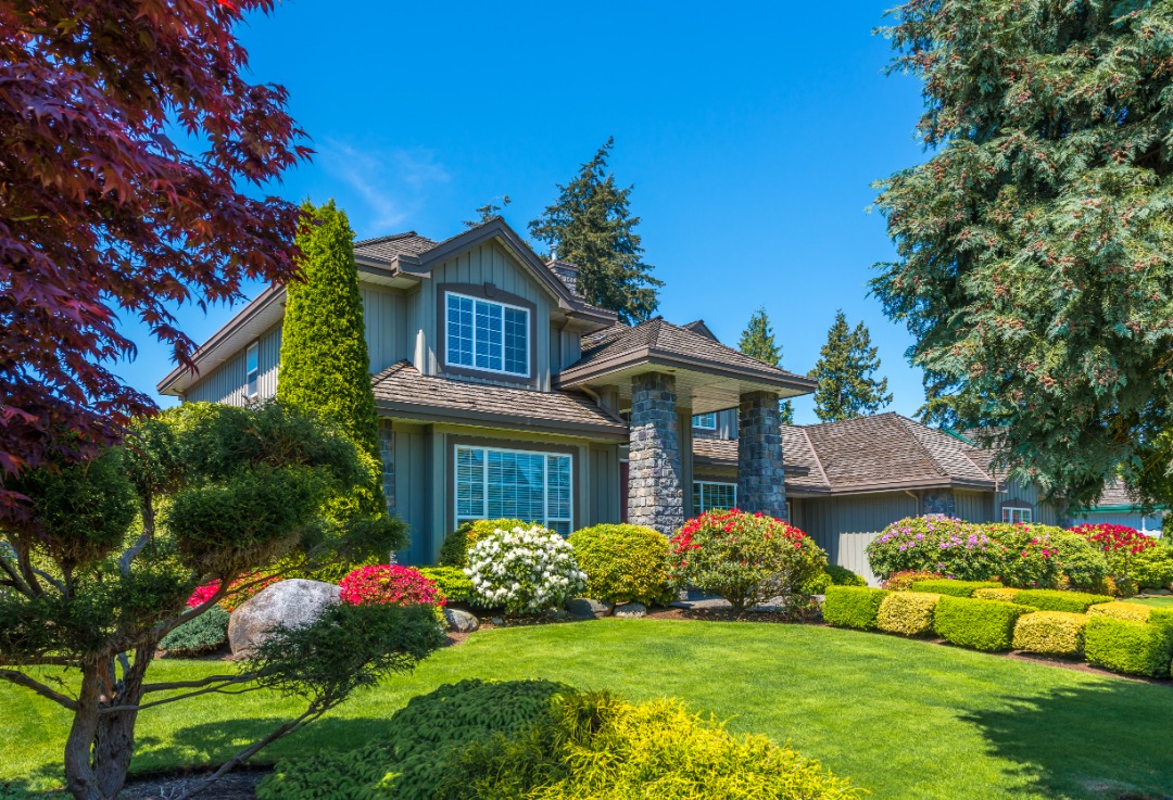 Modern suburban house with colorful landscaping, trimmed bushes, flowering shrubs, and vibrant green lawn under clear sky.
