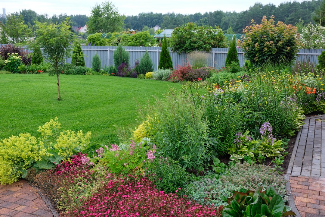 Lush garden with mixed perennials and flowering plants borders a manicured lawn and stone path near a privacy fence.